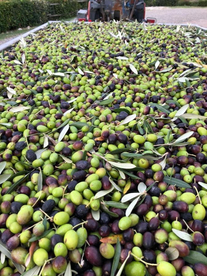 Podere Ghiole Montespertoli Luaran gambar