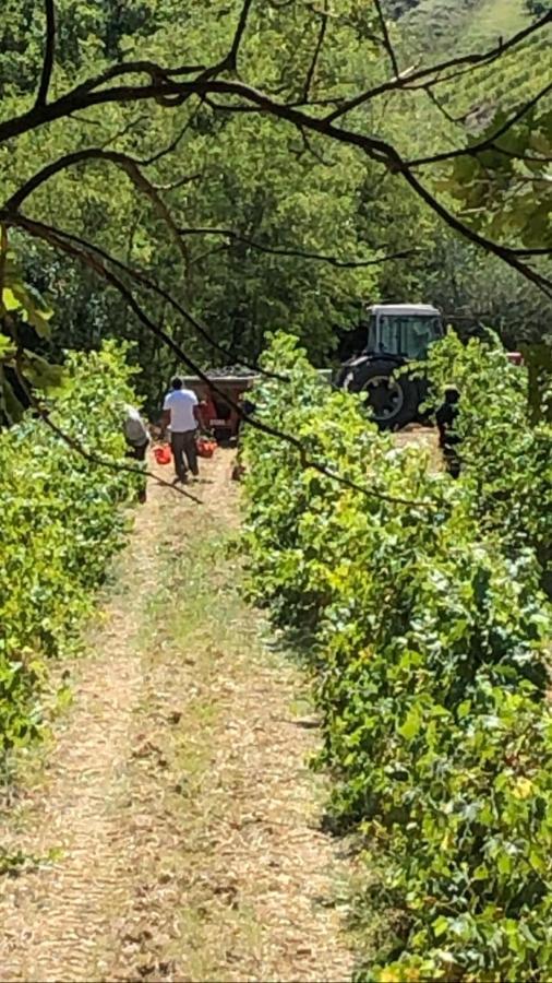 Podere Ghiole Montespertoli Luaran gambar