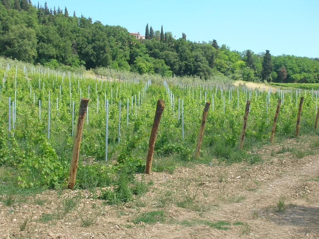 Podere Ghiole Montespertoli Luaran gambar
