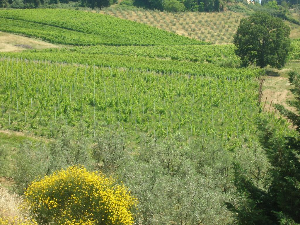 Podere Ghiole Montespertoli Luaran gambar