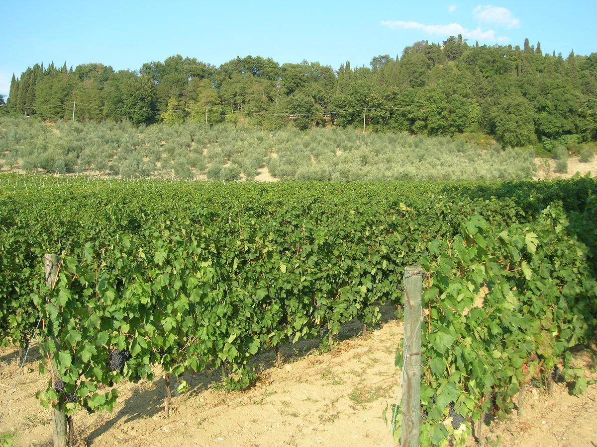 Podere Ghiole Montespertoli Luaran gambar